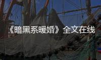 《暗黑系暖婚》全