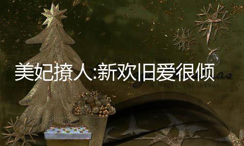 《席爷每天都想官宣》全文在线阅读