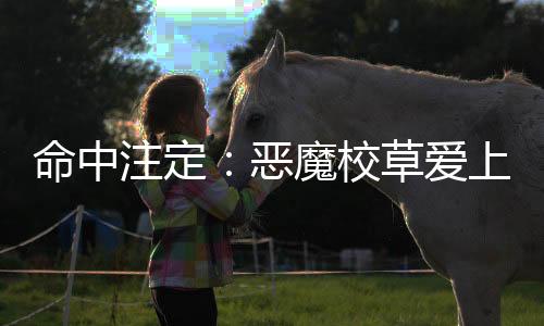 《暗黑系暖婚》全文在线阅读