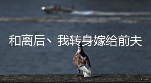 《许你万丈光芒好》全文在线阅读