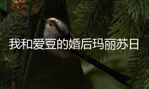 我和爱豆的婚后玛丽苏日常