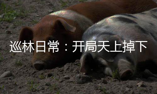 《京娇盛宠》全文在线阅读
