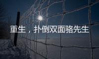 重生，扑倒双面骆