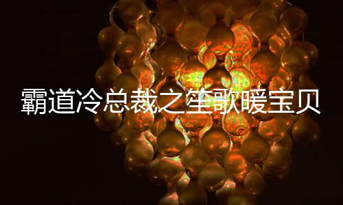 霸道冷总裁之笙歌暖宝贝