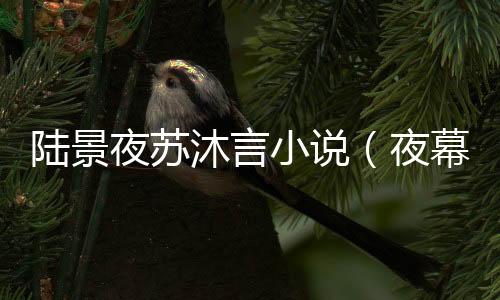 《八零对照组：换亲后，我被团宠了》全文在线阅读