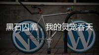 黑石囚凰，我的灵